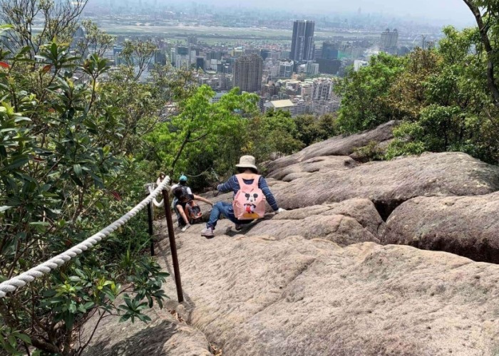 東湖櫻花林周邊景點與美食指南：一日遊完美規劃