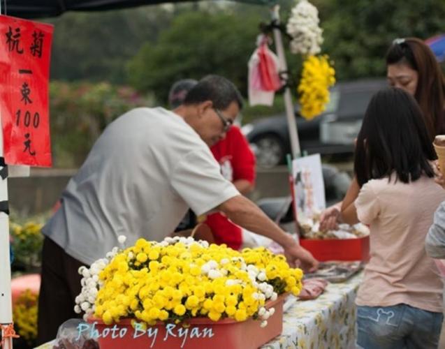 杭菊芋頭節活動