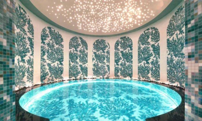 嬌麗奢華島房間